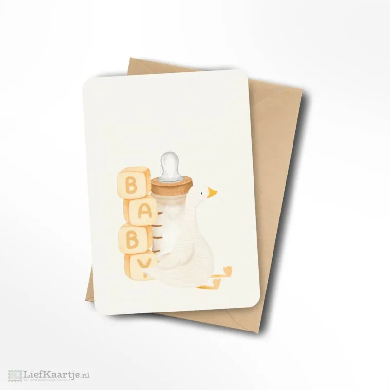 Baby blokjes flesje gansje