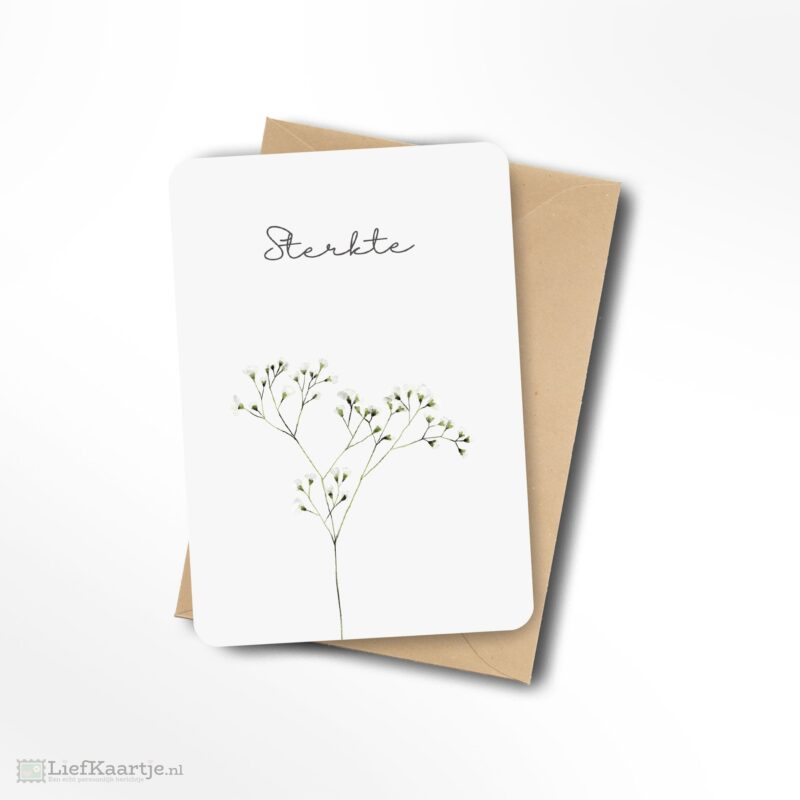 Sterkte